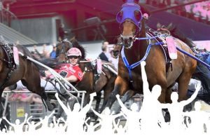 Prispengar Prix d'Amerique 2019