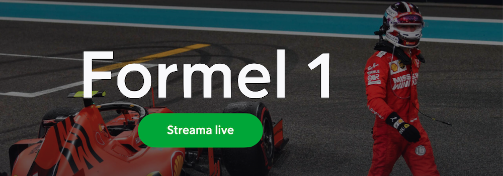 Formel 1 förare
