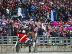 Elitloppet 2026 tider – Starttid försökslopp 1-2 & final! Elitloppet 2025 tider - Starttid försökslopp 1-2 & final!