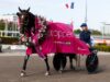 Elitloppet vinnare genom tiderna – alla vinnare Elitloppet! Elitloppet vinnare genom tiderna - alla vinnare Elitloppet!