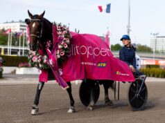 Elitloppet vinnare genom tiderna – alla vinnare Elitloppet! Elitloppet vinnare genom tiderna - alla vinnare Elitloppet!