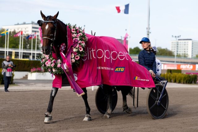 Elitloppet vinnare genom tiderna - alla vinnare Elitloppet!