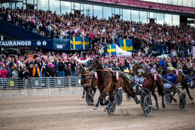 Prispengar Elitloppet